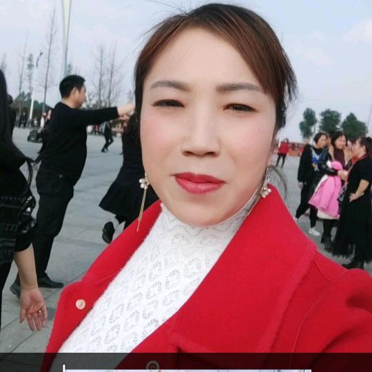 丢了幸福的豬