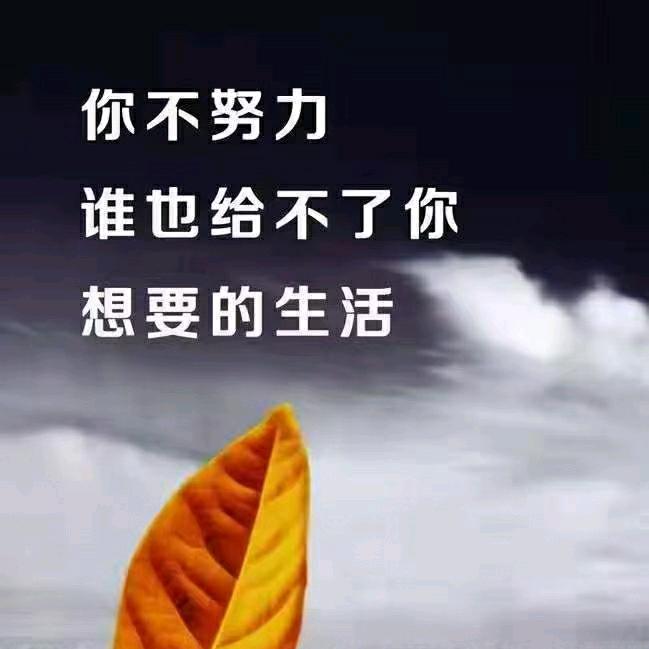 媛媛(●—●)
