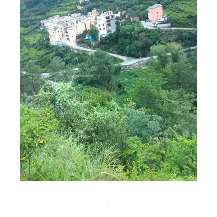 永远常在