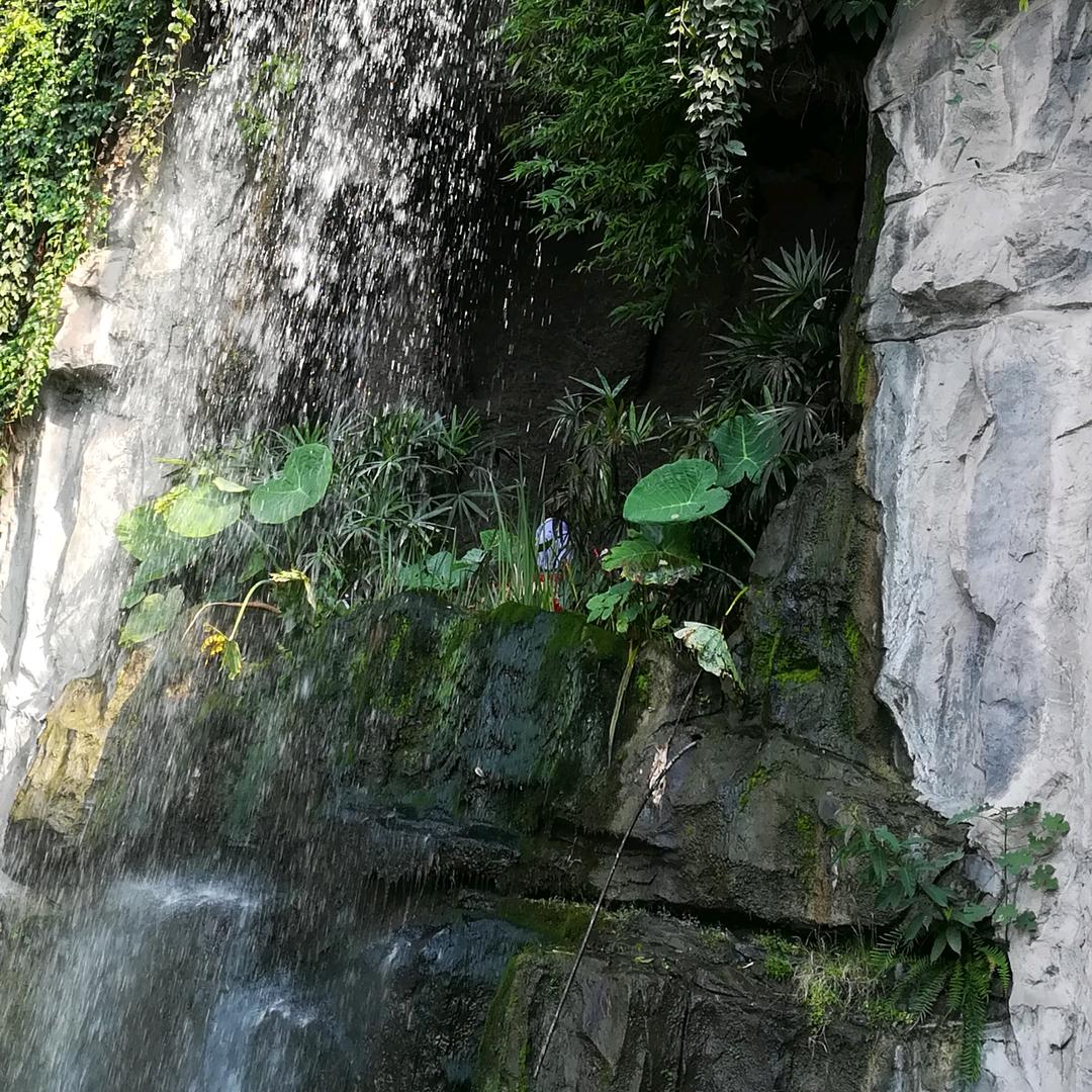 年少的我