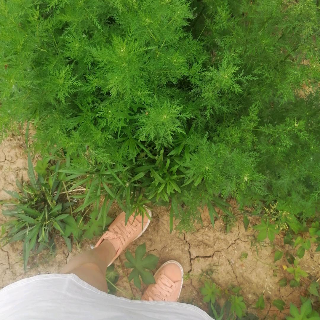 蔡😆农村人🏃🏃