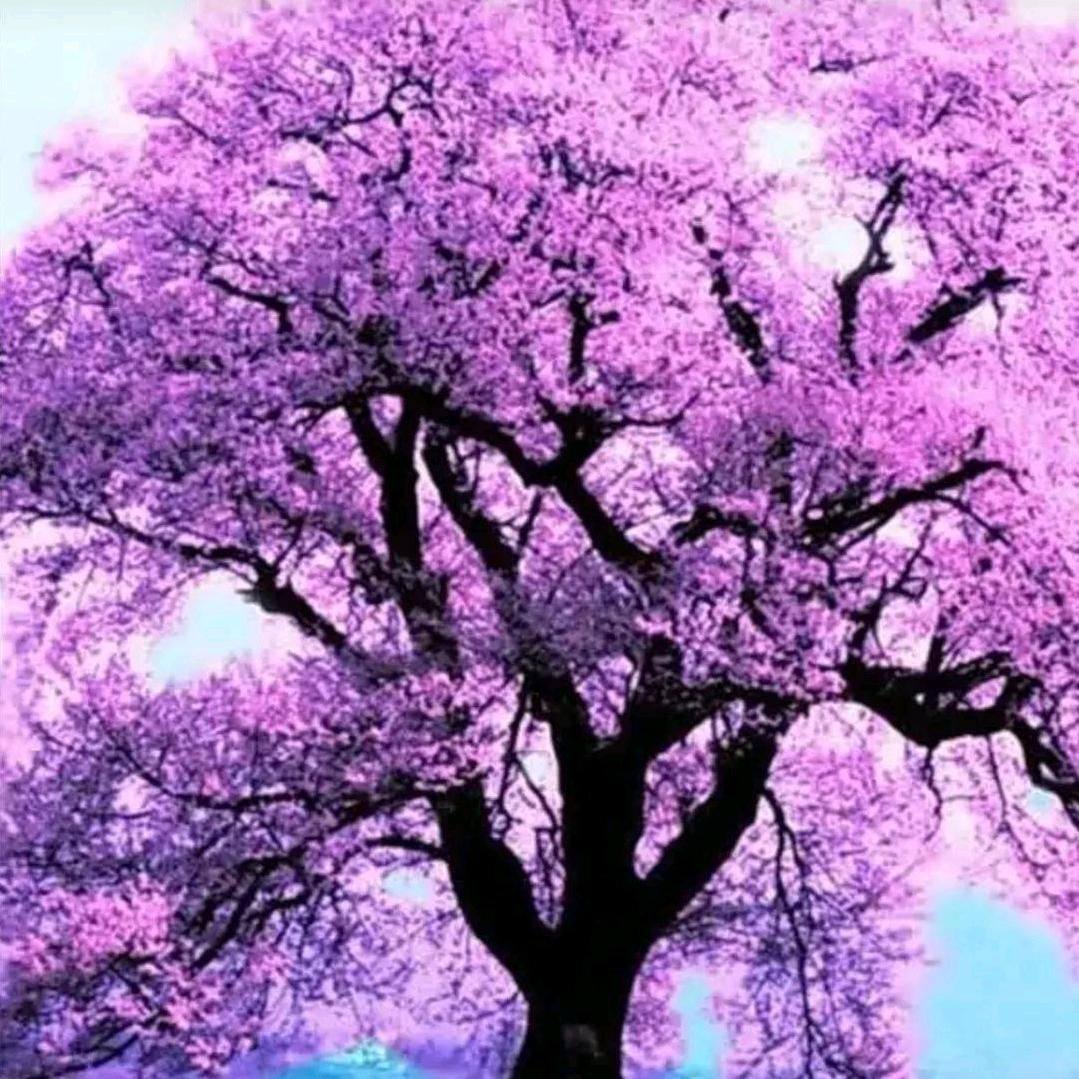 一纸荒年#