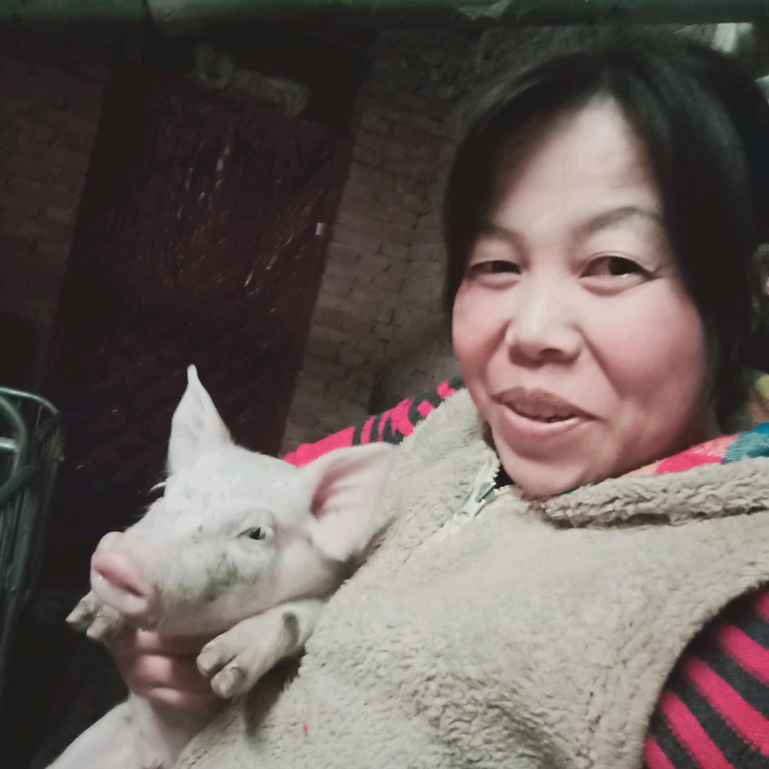 农村婆姨，