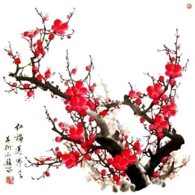梅花开了