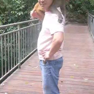 玉树林枫