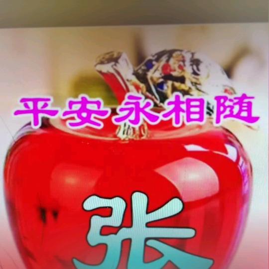 花开向阳