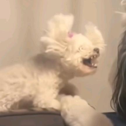 ʚ甜甜ɞ