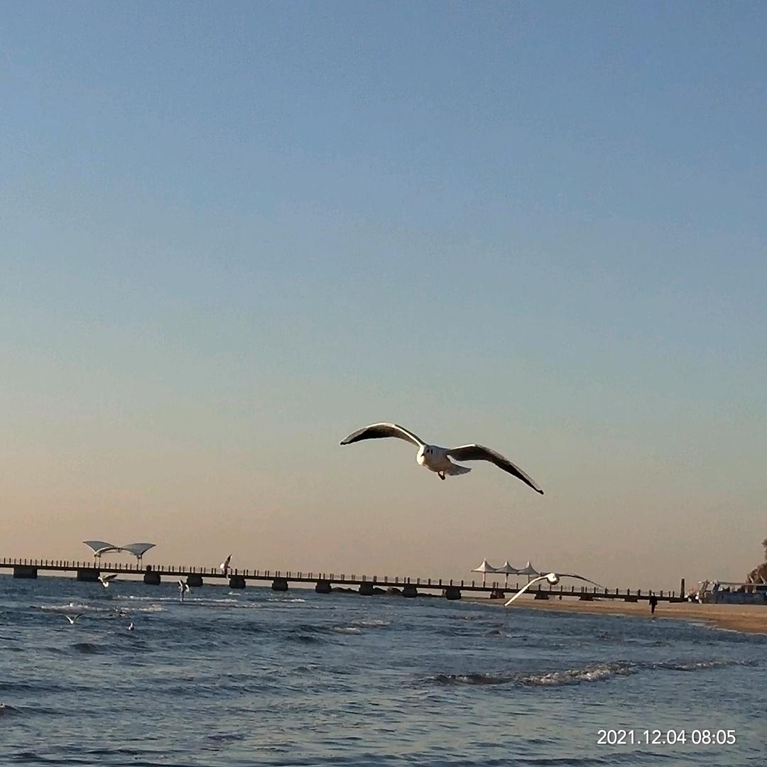 浮云浮云