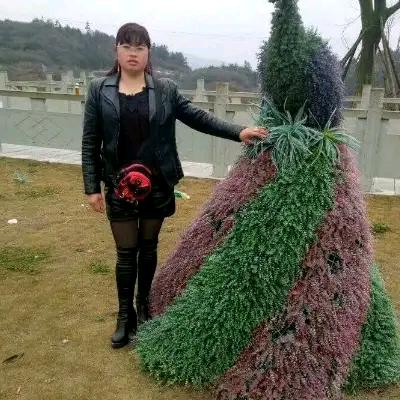 冬英，冬天的神鹰，