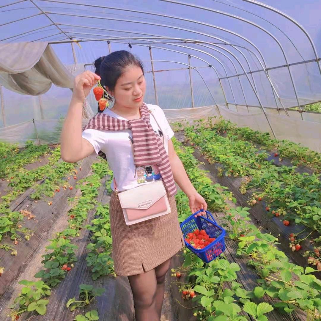 邹明欣