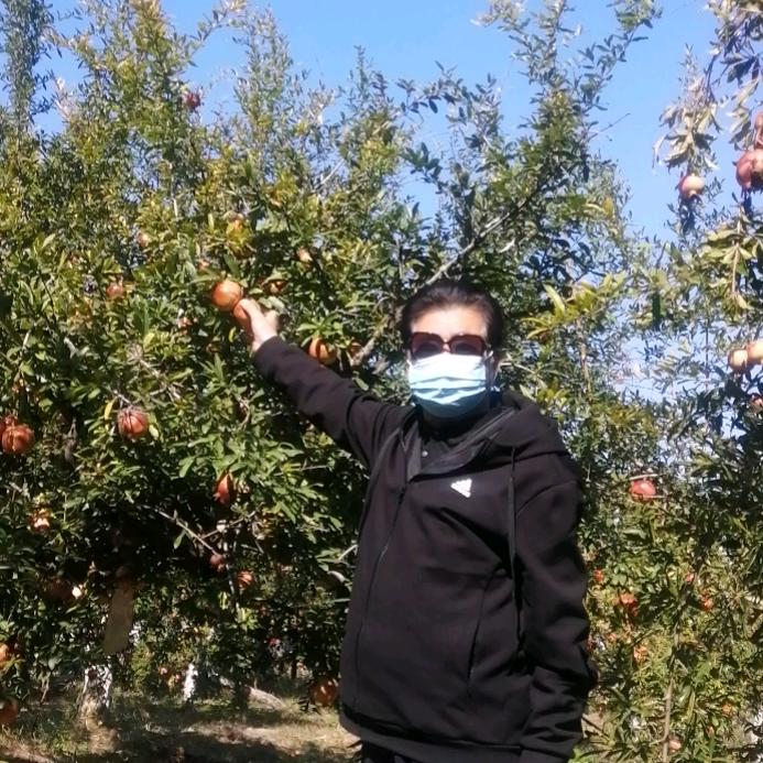 三高种业屈桂友