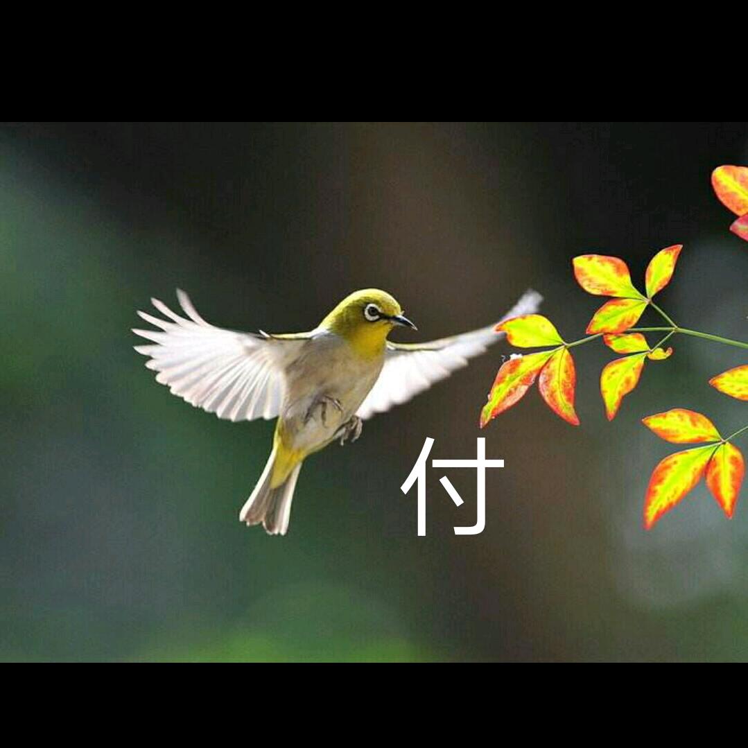 墨寒