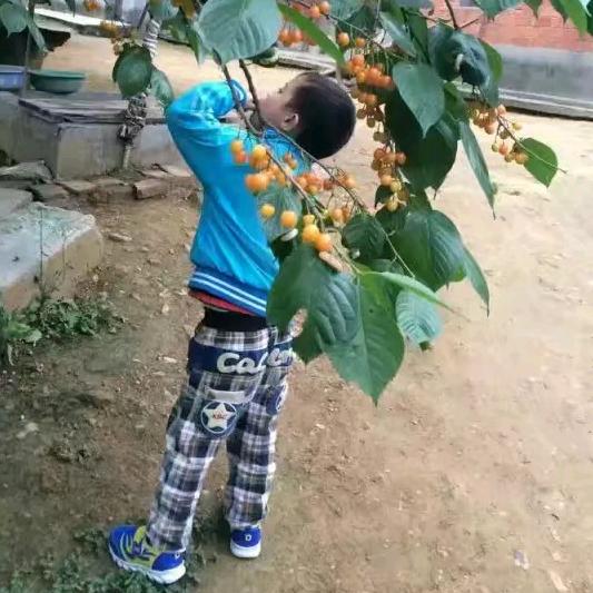 执念头像