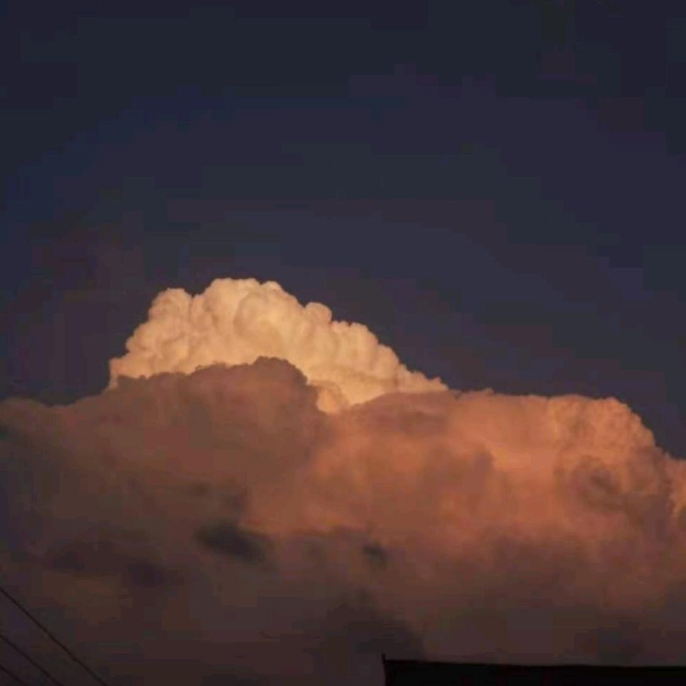 ୧⍤⃝ ✨୧⍤⃝ ✨