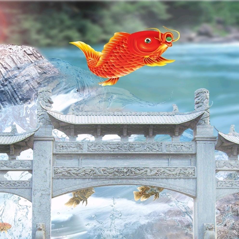 遇见就好🍀万般随缘