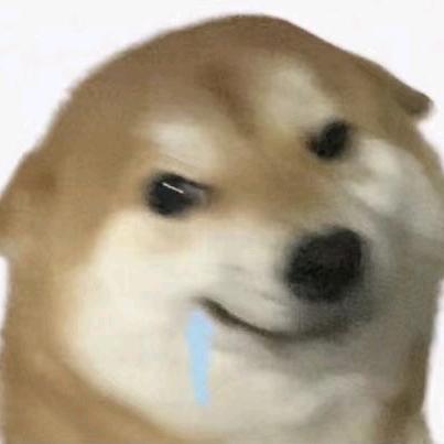 哦吃吃吃