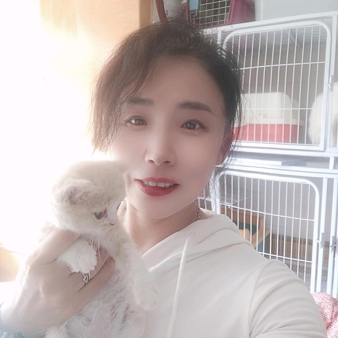 如梦如烟