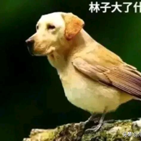 王瑞桢