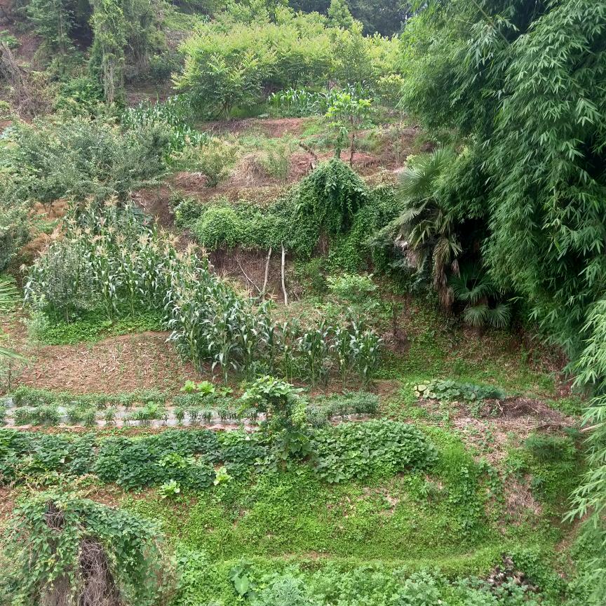 悲欢离合