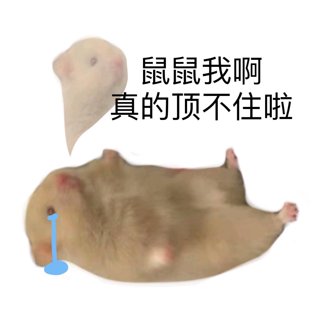芝士盐巴拿铁-