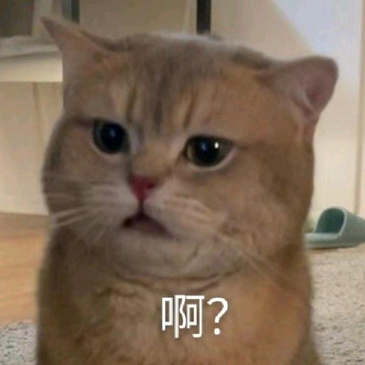 ww