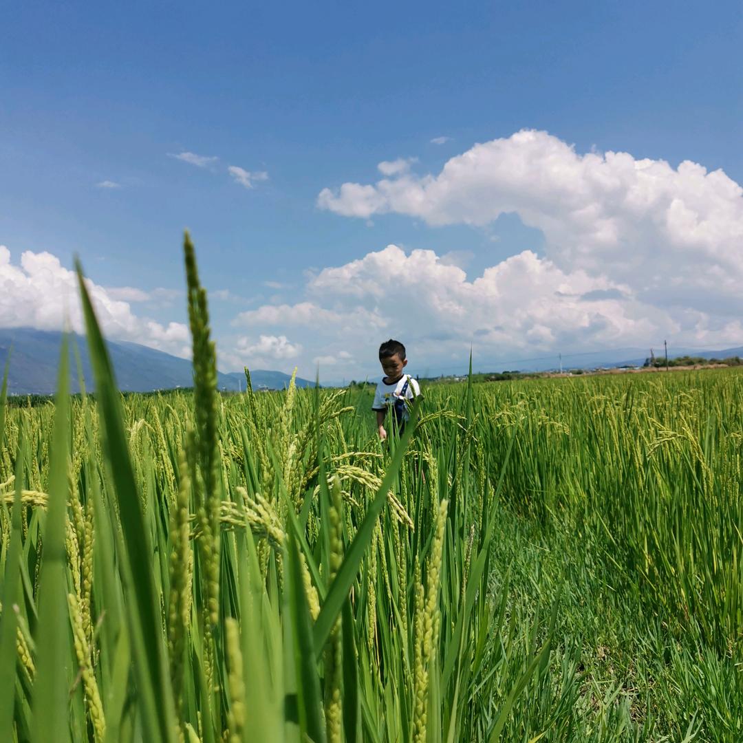 春田花花幼稚园杀手