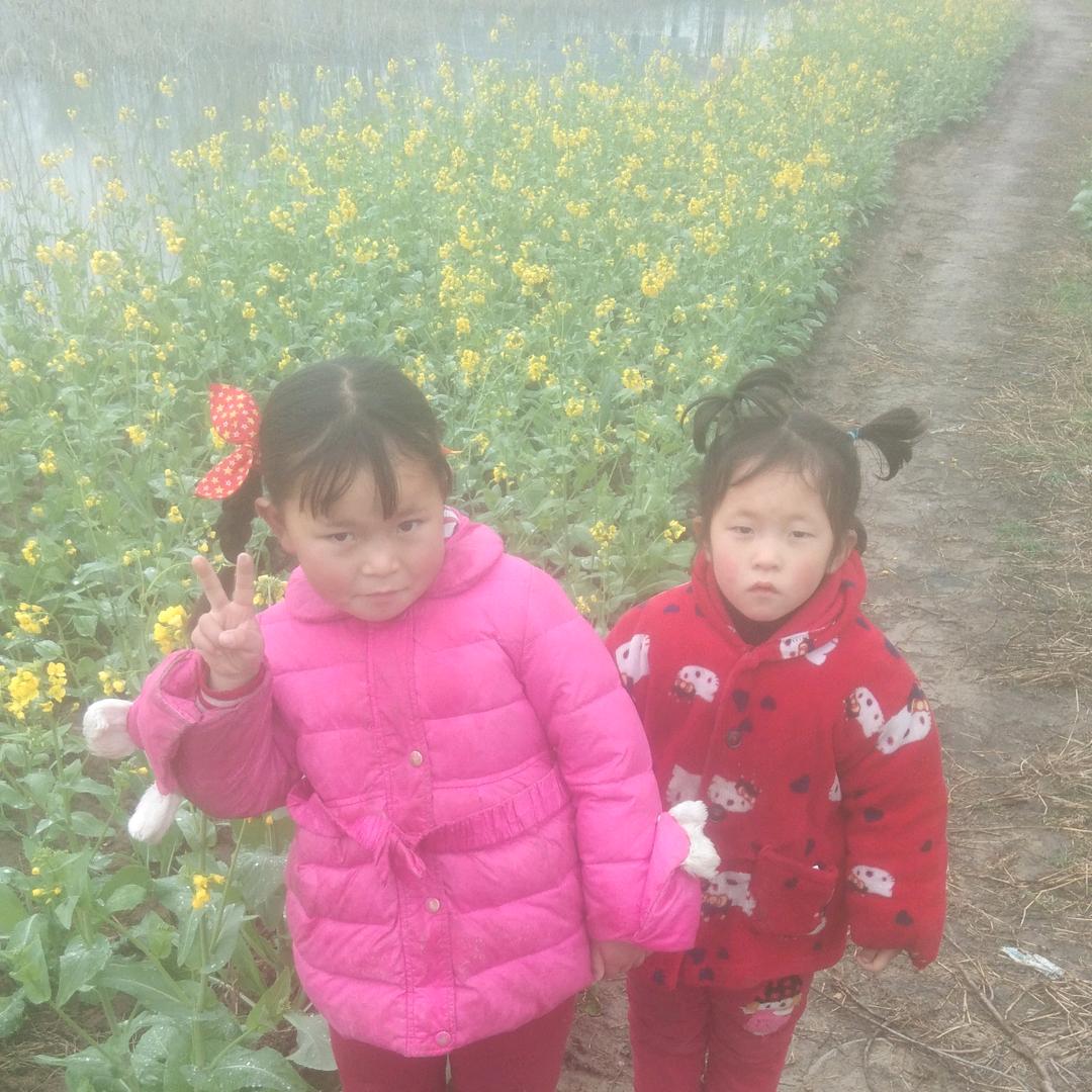 完美家人