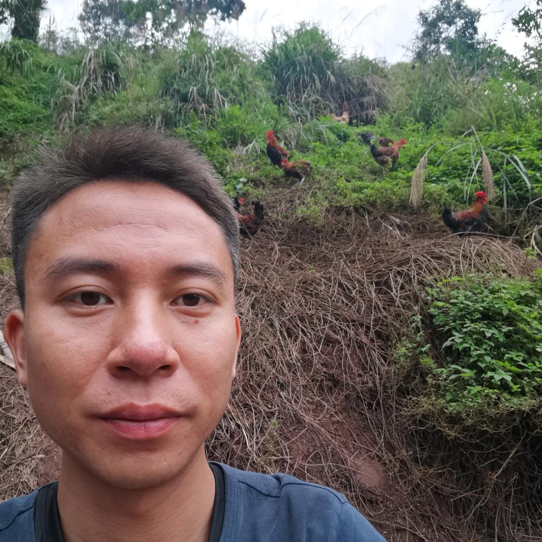 大竹凤鸣幽谷家庭农场