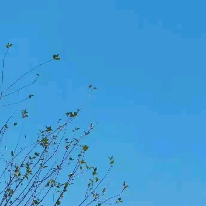 麦穗