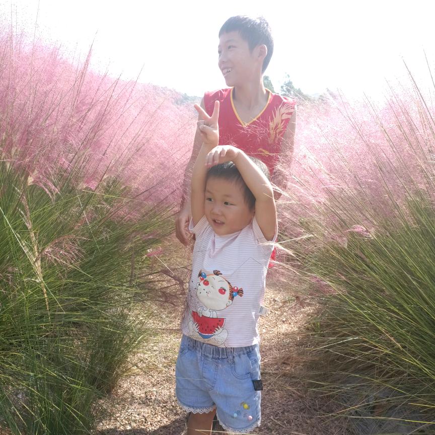 🌺家庆喜扬扬🌺