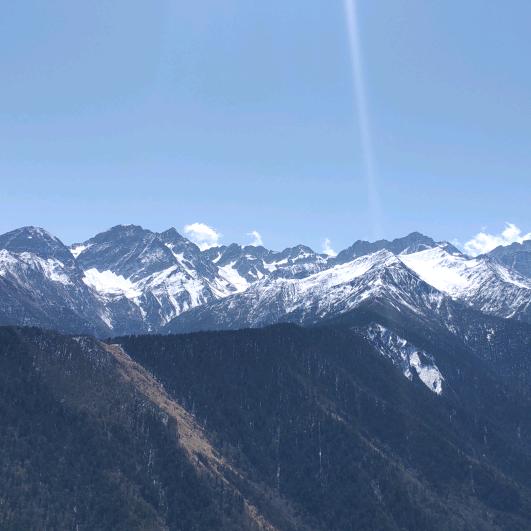 老不死的小屁孩