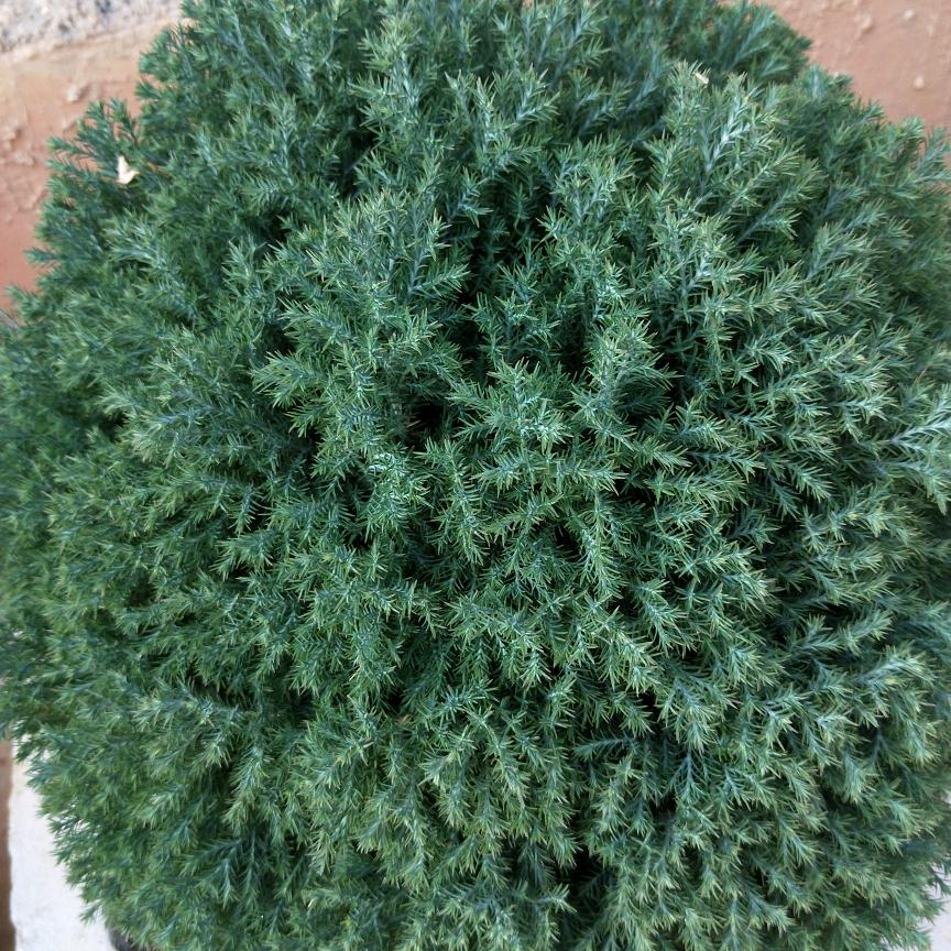 用户8937702687250