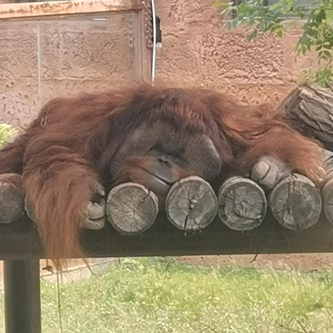 但邢好事莫问前程