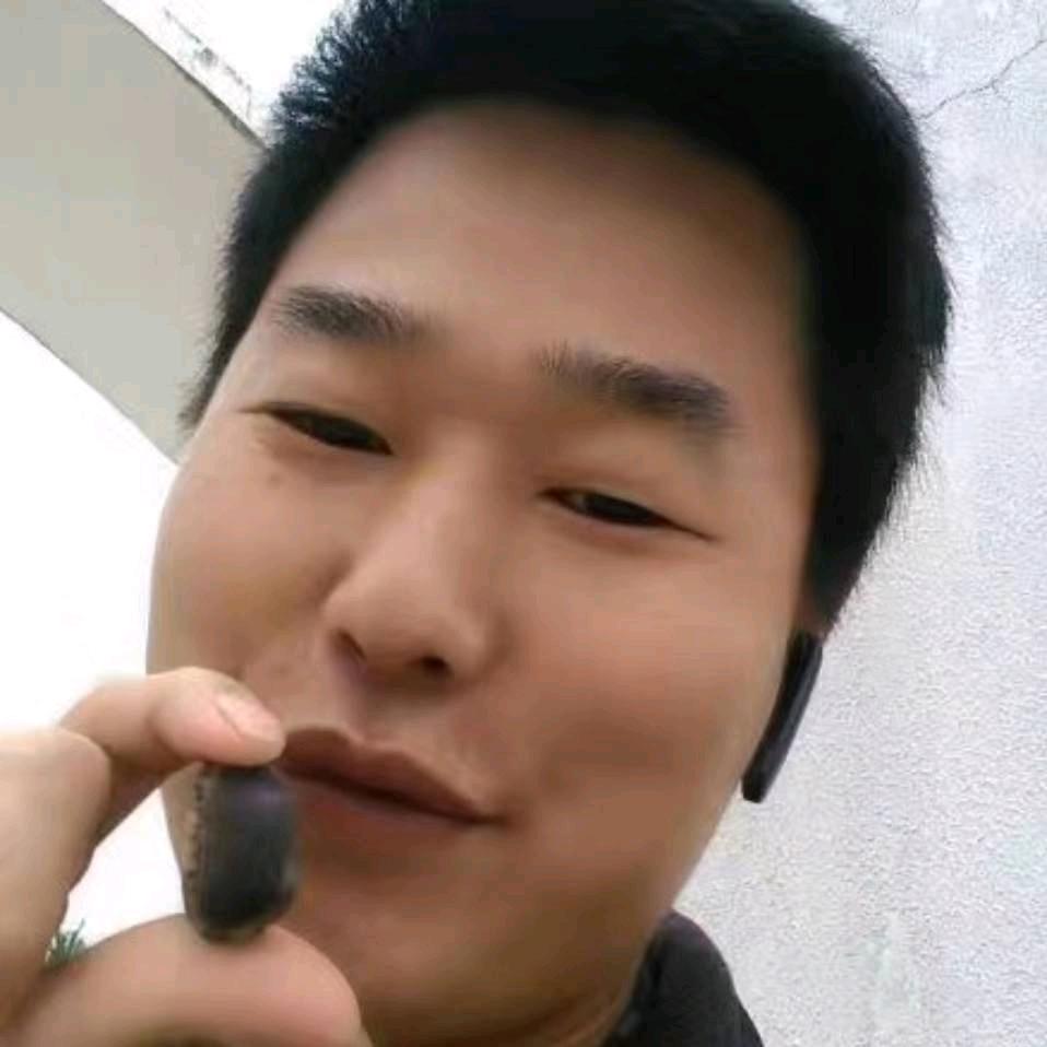 任性不认命，涅槃重生