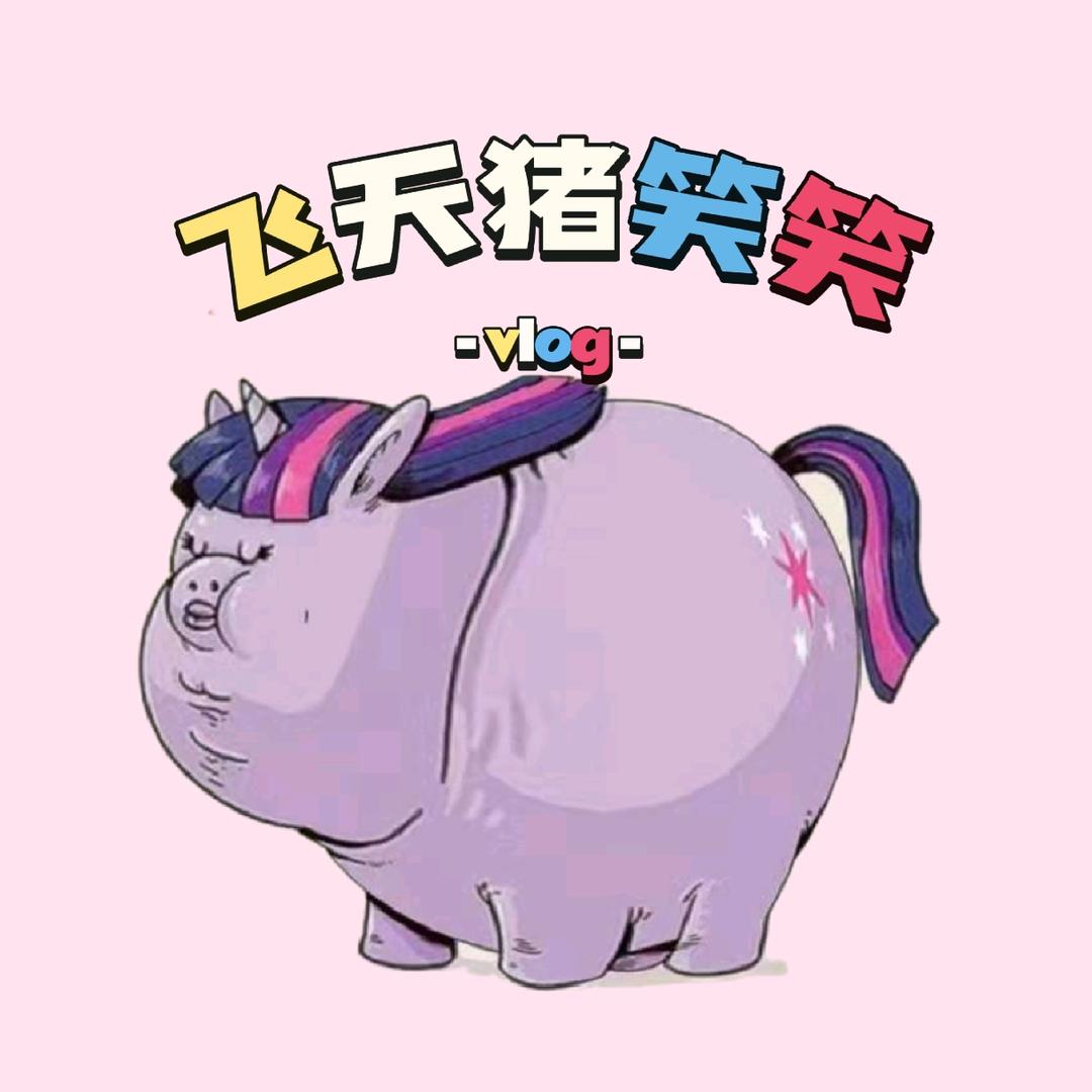 飞天猪笑笑