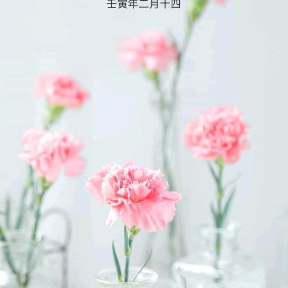 用户梅子