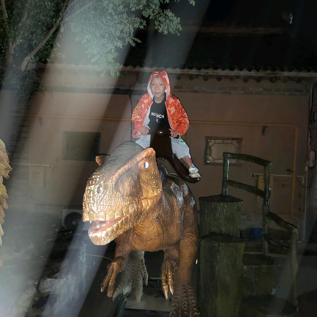 🐉妹