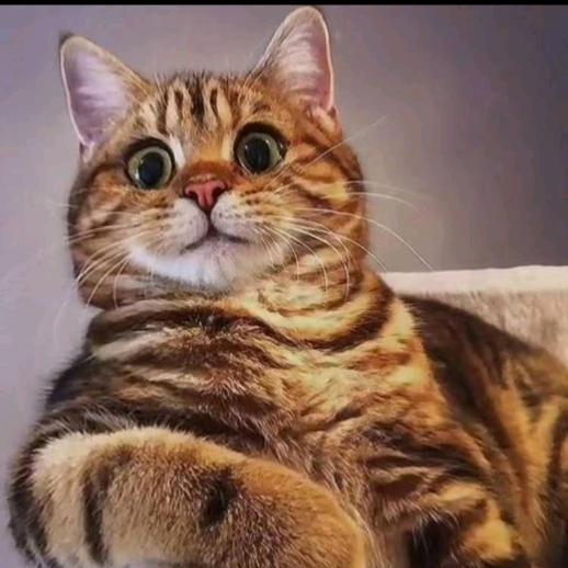 广东潮南区，潮阳区，木门安装