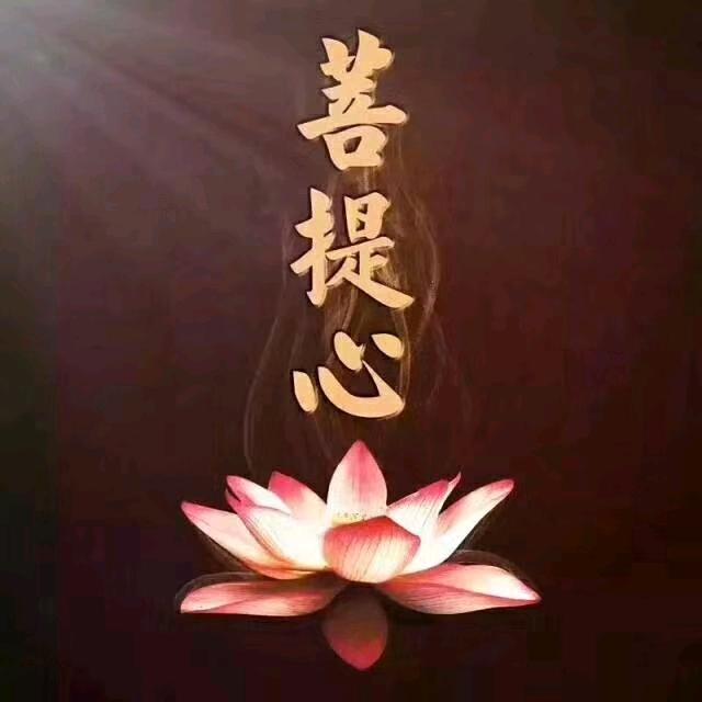 落入凡间的天使