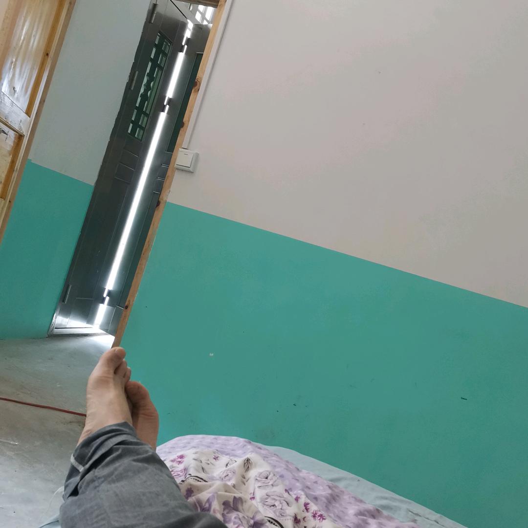 湖上移鱼子