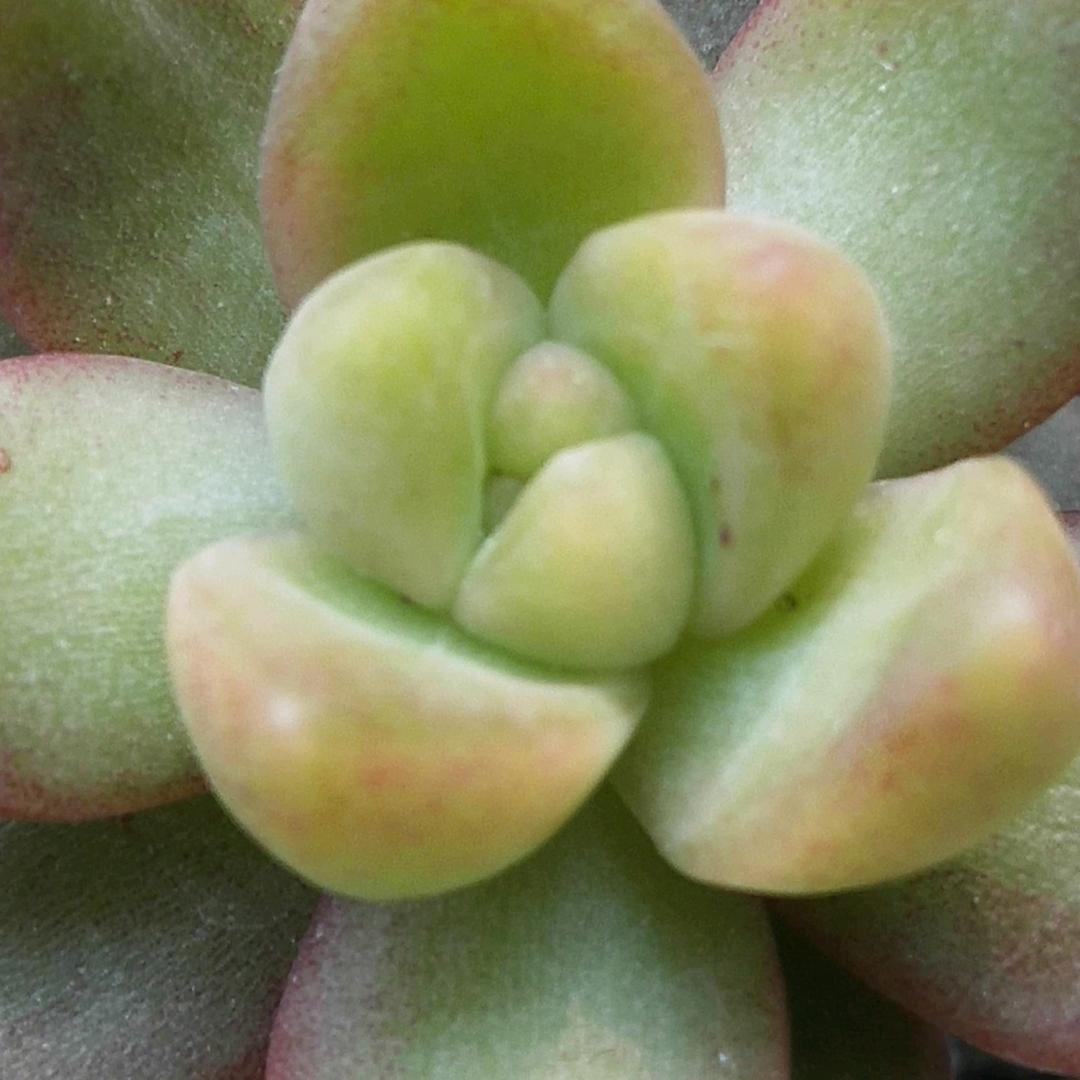 凡人生活^O^*^_^*
