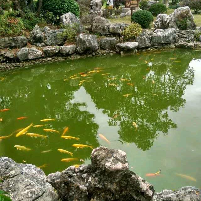 清影