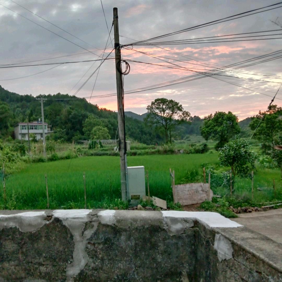 杨克林