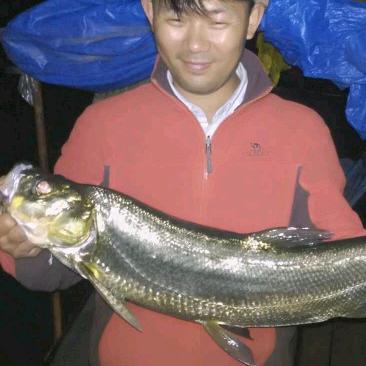大杨钓鱼