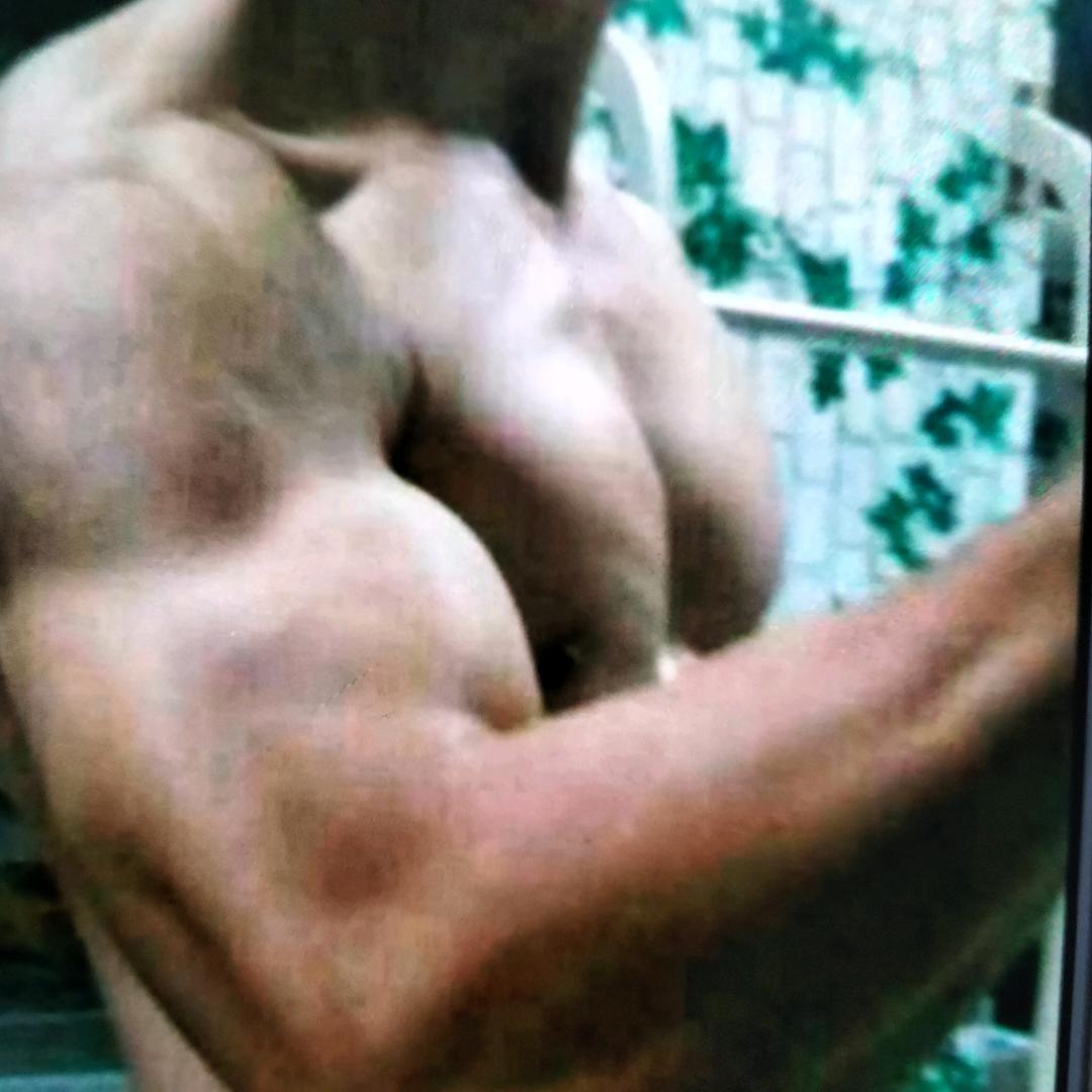 道不同不相伤害