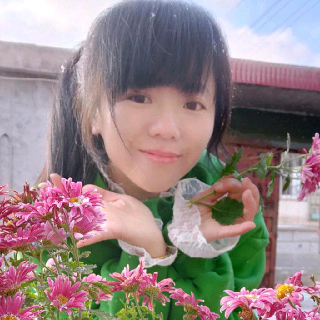 如梅似雪