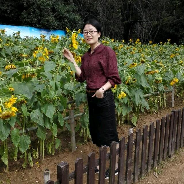 宜佳