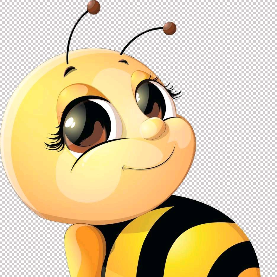 大勇蜂产山货店