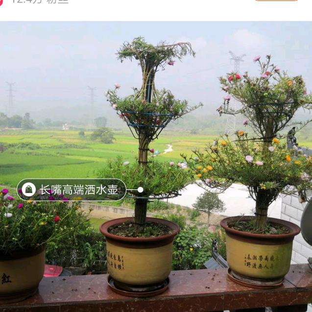 苏记园艺