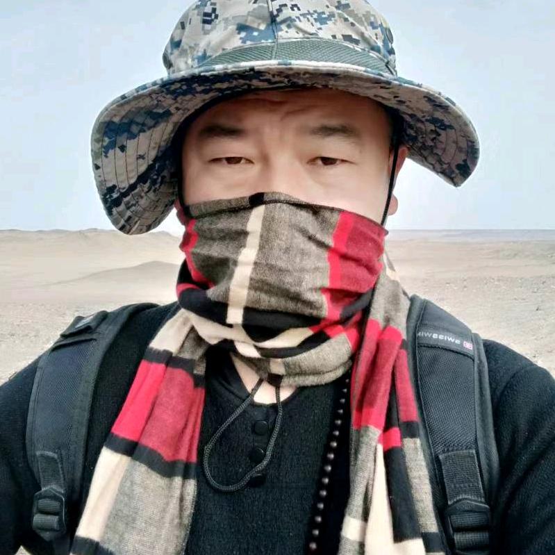 罗布泊野狼